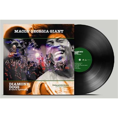 Macon Georgia Giants
