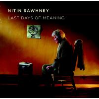 Last Days Of Meaning