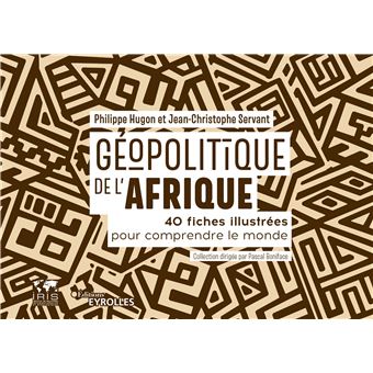 Géopolitique de l Afrique 40 fiches illustrées pour comprendre le monde