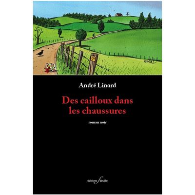 Des cailloux dans les chaussures - André Linard - broché