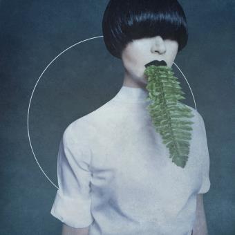 Kangding Ray - 1