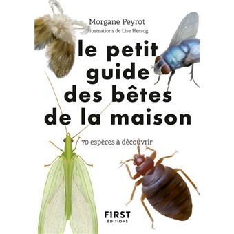 Petit guide d'observation des petites bêtes de la maison
