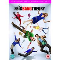 The Big Bang Theory Saison 11 DVD