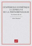 L'expérience esthétique à l'épreuve de la phénoménologie. La tristesse du roi