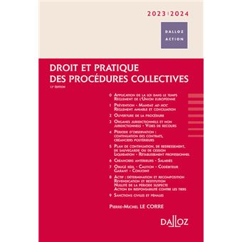 Droit et pratique des procédures collectives 2023/2024