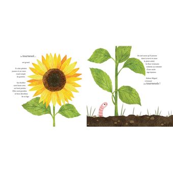 Le jardin partagé de Miguel