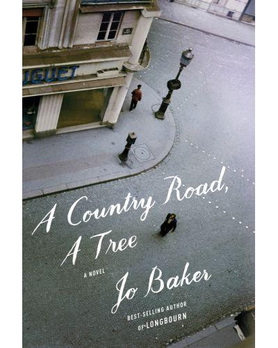 A COUNTRY ROAD A TREE