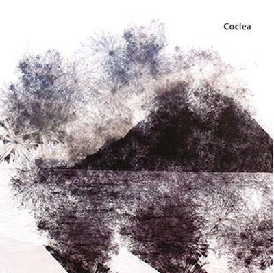Coclea