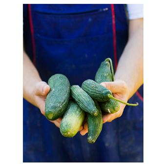 Un potager pour nourrir ma famille. et manger sain toute l année