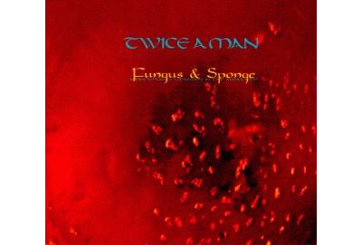Fungus & Sponge (A Dreamlike Expansion In The Audiofield)