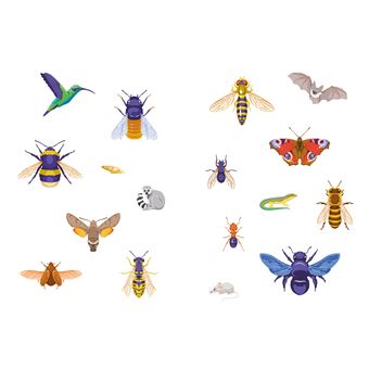 La vie sexuelle des fleurs