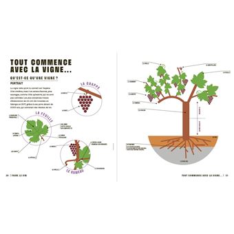 Le vin en seul coup d'oeil, 2e édition