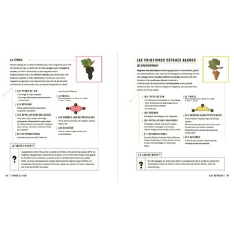 Le vin en seul coup d'oeil, 2e édition