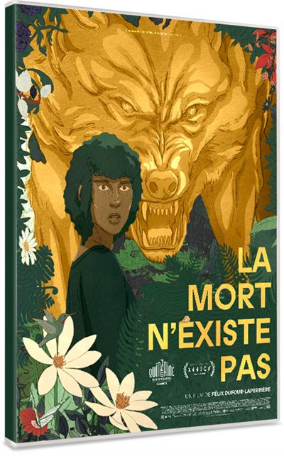 La mort n'existe pas en DVD