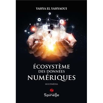 Écosystème des données numériques