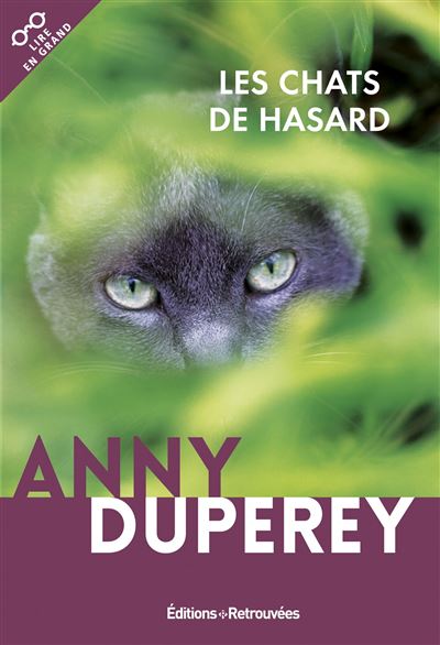 Les chats de hasard