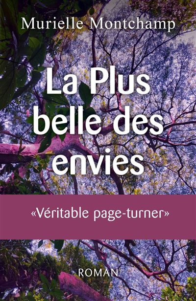 La plus belle des envies - roman