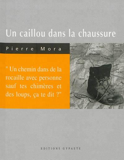 Un caillou dans la chaussure