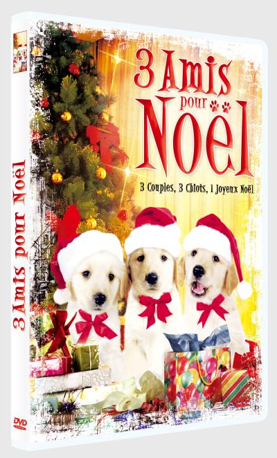 3 amis pour Noël DVD
