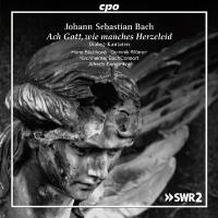 Bach : Cantates en dialogue