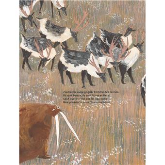 Un morse pas si banal