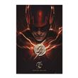 Poster DC Comics The Flash Flash