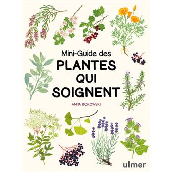 Mini-guide des plantes qui soignent