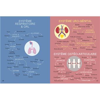 Mini-guide des plantes qui soignent