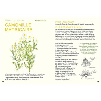 Mini-guide des plantes qui soignent