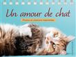 Un amour de chat - Pensées et citations inspirantes