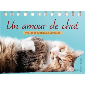 Un amour de chat - Pensées et citations inspirantes