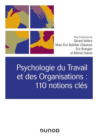 Psychologie du travail et des organisations 110 notions clés