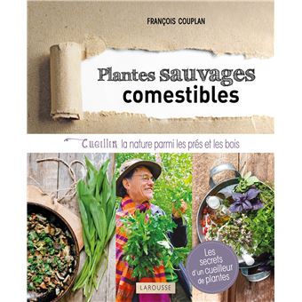 Plantes sauvages comestibles - 1