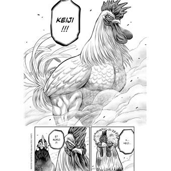 Rooster Fighter - Coq de Baston T05