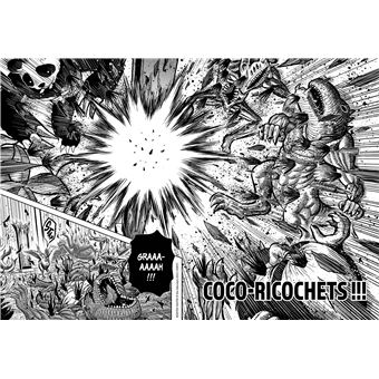 Rooster Fighter - Coq de Baston T05