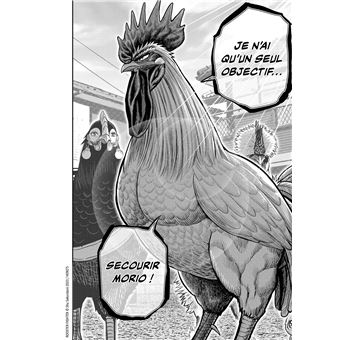 Rooster Fighter - Coq de Baston T05