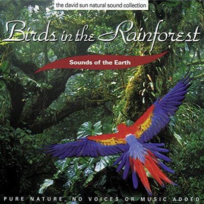 Birds in the rainforest