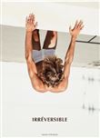 Irréversible