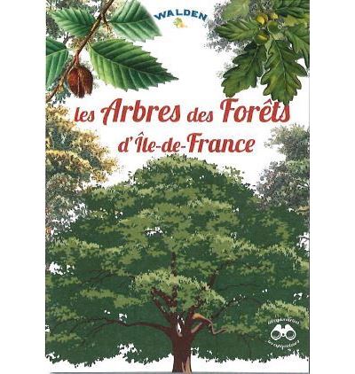 Les arbres des fôrets d'Ile de France