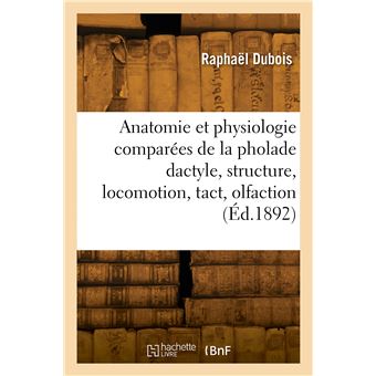 Anatomie et physiologie comparées de la pholade dactyle, structure, locomotion, tact, olfaction