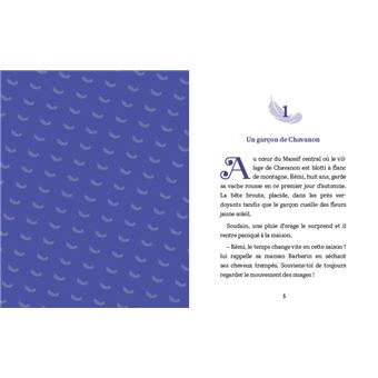 Rémi sans famille - T1 Le petit saltimbanque