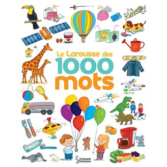 Le Larousse des 1 000 mots NE