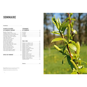 La vannerie avec des plantes sauvages
