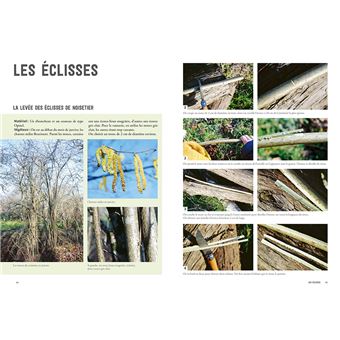La vannerie avec des plantes sauvages
