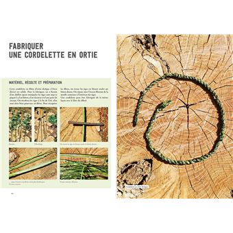 La vannerie avec des plantes sauvages