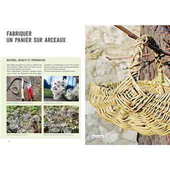 La vannerie avec des plantes sauvages