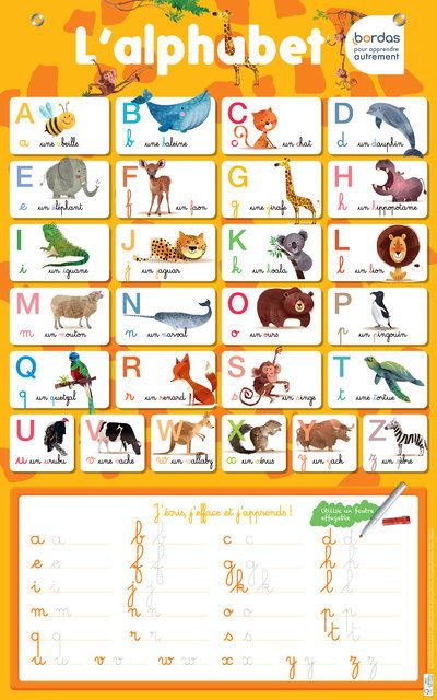 Les posters effaçables - L'alphabet -  Collectif - broché