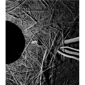 Félix Luque Sánchez