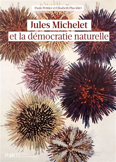 Jules michelet et la democratie naturelle - Paule Petitier - broché
