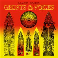 Ghosts And Voices
